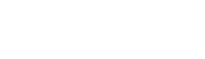 FIEX